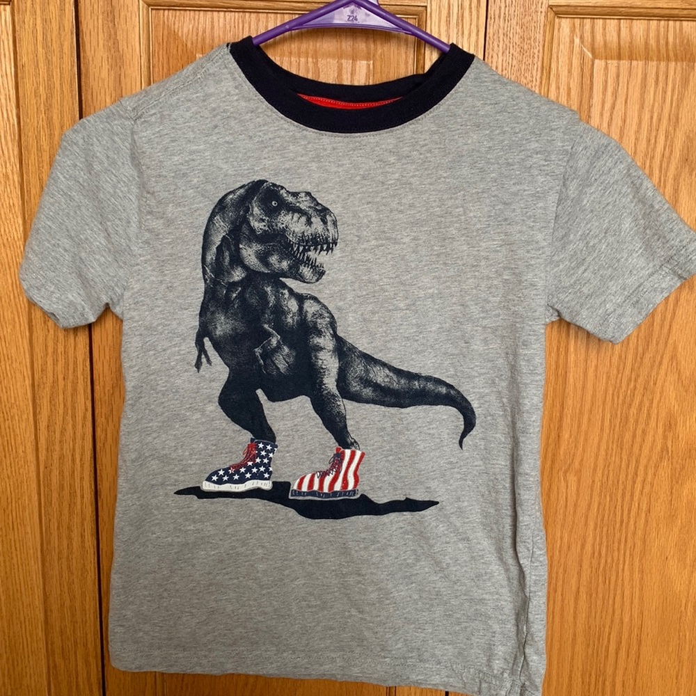 Used Gymboree Dinosaur T-Shirt Boy’s Size M (7-8)